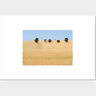 Wheat Field by Avril Thomas photography - South Australian Artist Posters and Art